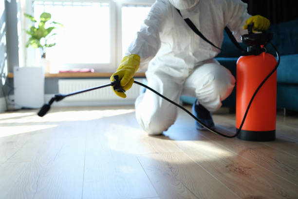 Professional Pest Control in North Pearsall, TX